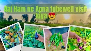 Village Visit Vlog 😍| Gaon Se Taza Sabziyan Li | Desi Life Vlog 🍀
