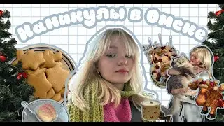 влог | Новогодние каникулы в Омске