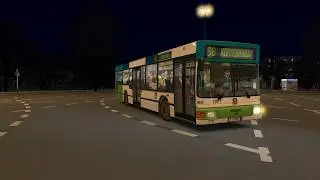 покотушки в омси 2