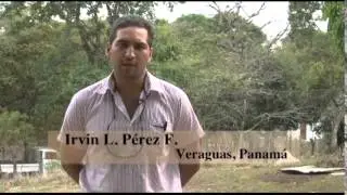 Pastoreo Rotacional Voisin  5