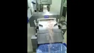 HACCP : Food Metal Detector for Seafood / Fish Processing Industry.