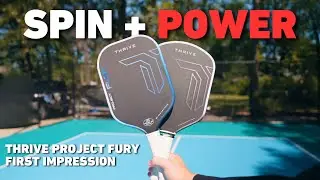 Обзор первого впечатления от проекта Thrive Project Fury