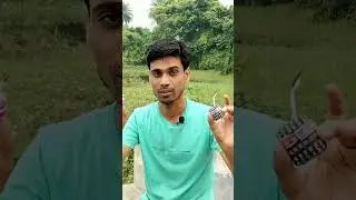 Black cat vs Dulal sutli bomb experiment 2022@INDIAN MASTER X