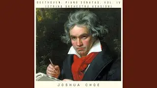 Piano Sonata No. 28 in A Major, Op. 101 (Arr. for String Orchestra by Joshua Choe) : IV....