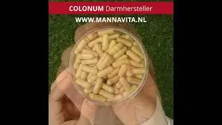 Colonum Darmhersteller &bull; Vezels + L-glutamine + Probiotica