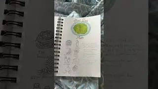 cook book in progress🥘📒&hellip; #cooking #cookbook #art #drawing