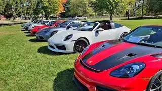 Lots of Porsches in the park 