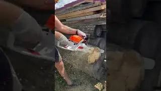 Бензопила stihl MS 382 шина 50 см, цепь 72 зв.