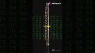 🚨Tether in Trouble? DOJ Investigation Explained!