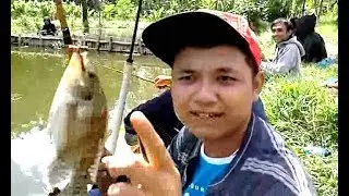 FISHING Mancing Mania Ikan GALATAMA Kalasan Sleman [HD]