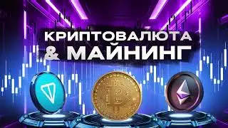 Birds Empire - Гайд По Игре | Лайфхаки, Окупаемость, Вывод TON