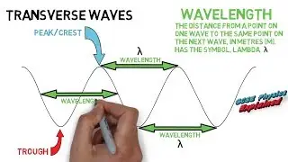 Transverse waves (SP4a)