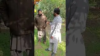 Bahawalnagar Khichiwala Farm Visit Citrus orchard water channel & Fertilizer management #control