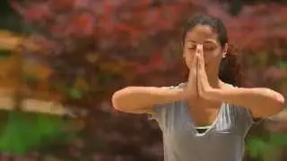 Performance Triad Family Introduction