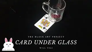 The Black Art Project : Card Under Glass by Will Tsai | Big Rabbit