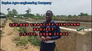 [DISCOVERY] ONE OF THE BIGGEST CATFISH FARM IN SOUTH-WEST NIGERIA.