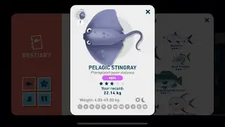 Creatures of the Deep Paradise Island Pelagic Stingray