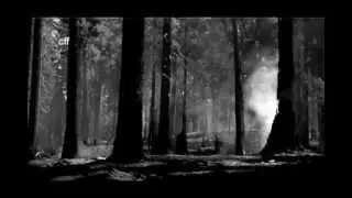 SOUTHWESTCAPES, American Landscapes, CFF, Prod. Christoph Felder