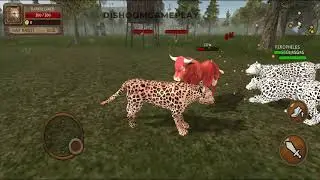 Ultimate Leopard Simulator - Leopard Vs Lion, Man, Rabbit, Cow