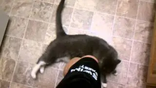 Spinnin dah katz