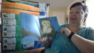 Under the Sleepy Stars Bedtime Story