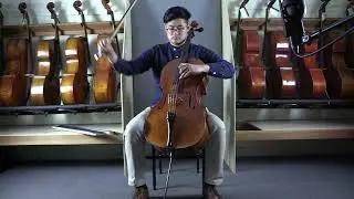 Vivo Replica Guadagnini 1777 Cello for Sale | Linda West Cellos