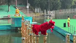 这个醒狮有点凶猛 #舞狮 #醒狮文化