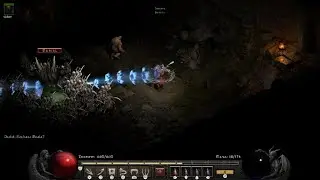 Diablo II resurrected Bone prison bug?