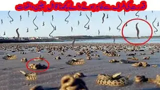 Top 8 Unique Natural Phenomenon || Amazing incidents