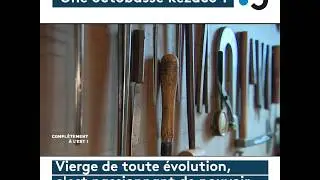 L'octobasse, le plus grand des instruments à corde fabriqué à Mirecourt - Complètement à l'Est