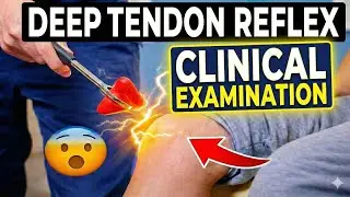 Deep Tendon Reflex क्या है? | DTR Explained for Medical & Nursing Students