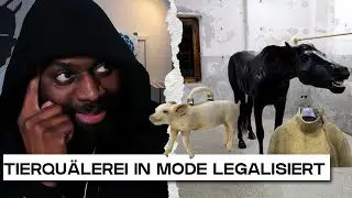 CCP: Tierqu&auml;lerei oder Mode? Wann ist die Grenze &uuml;berschritten?! Reaction | Kelly Kaiio