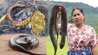 Snake sausage recipe and eat