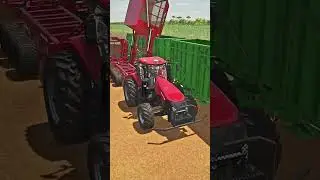 Abrindo Eito Case 8800 MultiRoll#fs22 #farming #farmingsimulator22