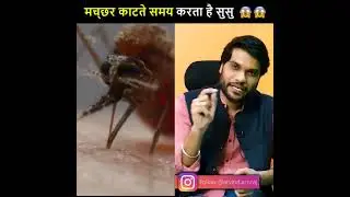 #fact #facts #A2motivation #arvindarora #2021fact #newfact #shortfact #shivammalik #indianfact#short