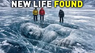Scientists Discovered a NEW LIFE FORM in Antarctica &mdash; And It Shouldn&rsquo;t Exist