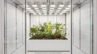 The OXMAN Vision for Elegant Experiment 