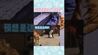 Fake Tiger Prank Dog, Fail Prank - Dog Funny Reaction  #Shorts