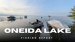 NY's Lake Oneida Fishing Report: Walleye, Bass & Perch Action Over 2 Days