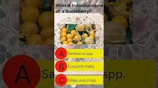 Botanical Trivia: Match the Common Names to Their Latin Equivalents! #viral #shorts #botany #quiz
