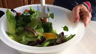 Good Grips Salad Chopper