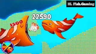 Fishdom Ads | Hungry Fish New Update [7.94] Fishdom Ads#fishdom