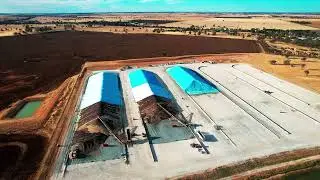 Graincorp Lillimur  2023