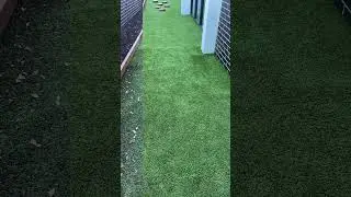 Synthetic Turf Cleaning 🧼 #shorts #syntheticturf