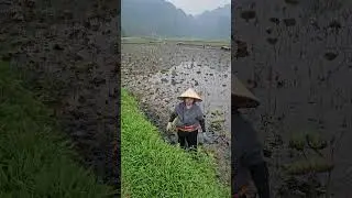 Ninh Binh. Mua Cave
