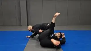 Ep #274 Plusieurs Options D'omoplata En JJB