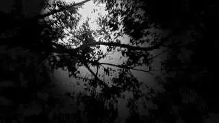 Perial - 2145 [RKTCD001]