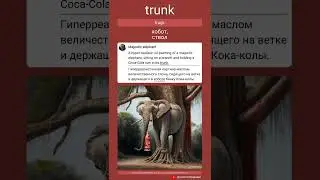 ᴇɴ trunk - ʀᴜ хобот, ствол
