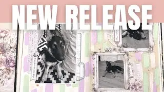 49 & Market Echoes Of Time Collection Overview