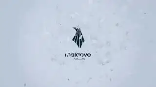 Altraaznusa Developing Valuable Brand Design MALDOVE ADVOCATES 2